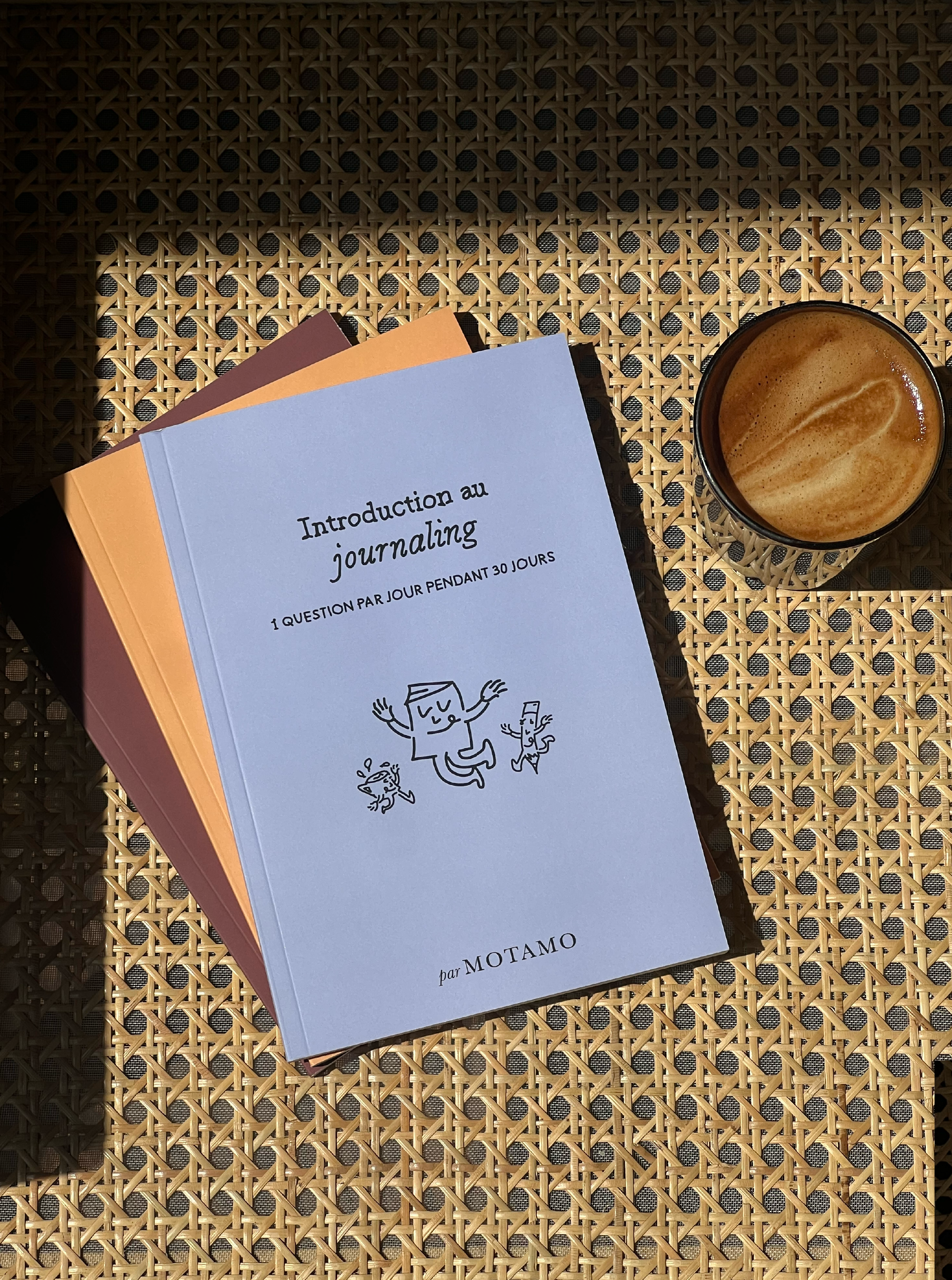 Introduction au Journaling - Une question par jour pendant 30 jours (Lilac)